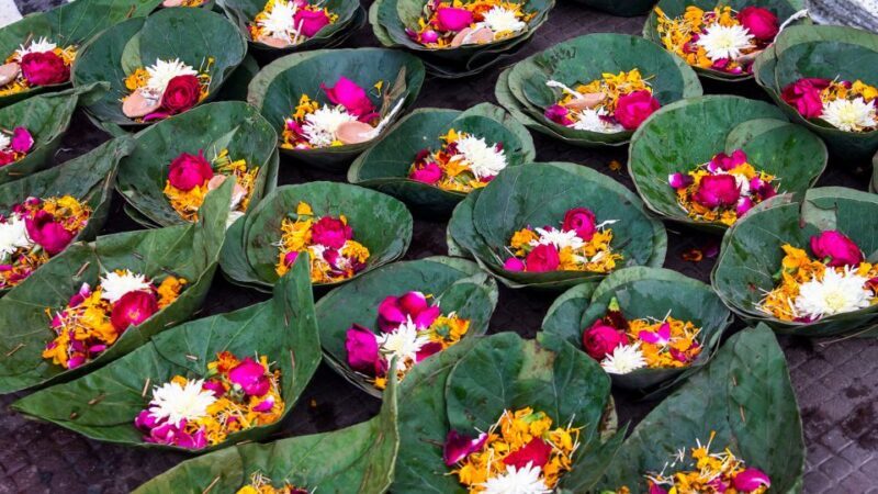 From Delhi: Private Day tour to Haridwar and Rishikesh - Final Thoughts