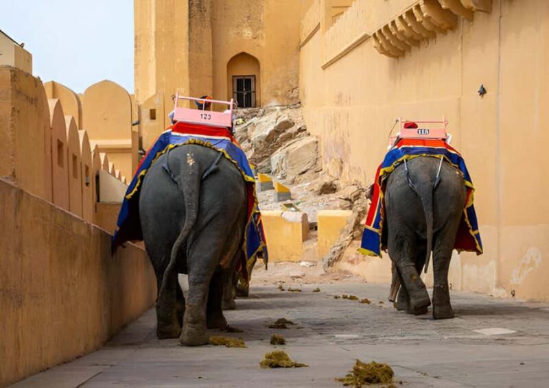 From Delhi: Private Jaipur full-day tour with expert guide - What We Loved About This Tour