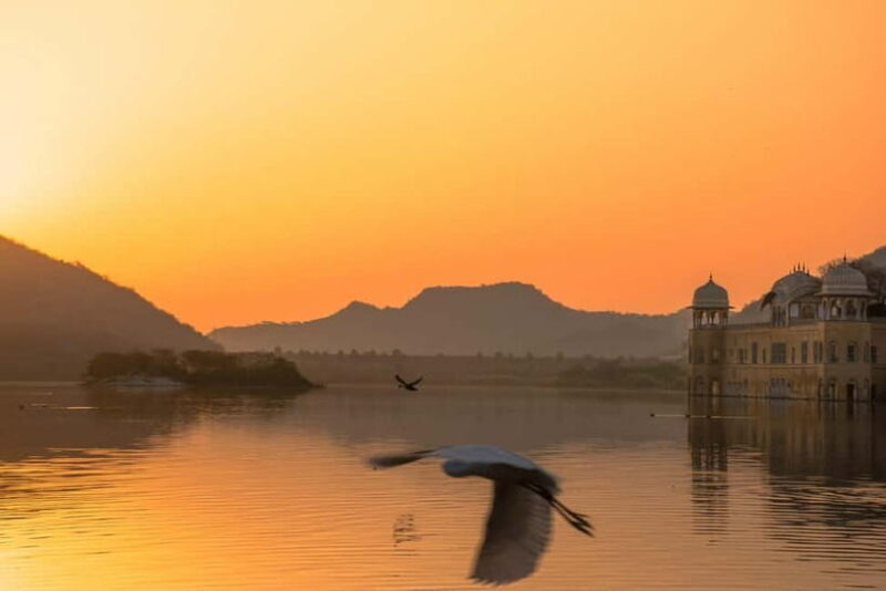 From Delhi: Private Jaipur Highlights Day Trip with Transfer - FAQ