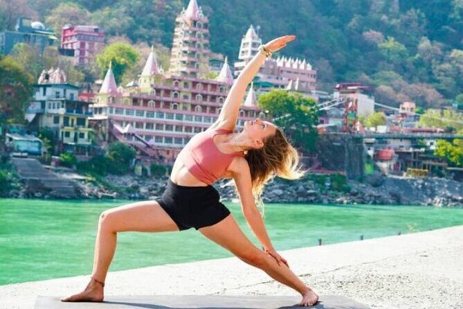 From Delhi : Private Rishikesh and Haridwar Day Tour by Car - Key Points