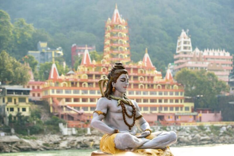 From Delhi: Rishikesh and Haridwar Day Trip - Who Will Love This Tour?
