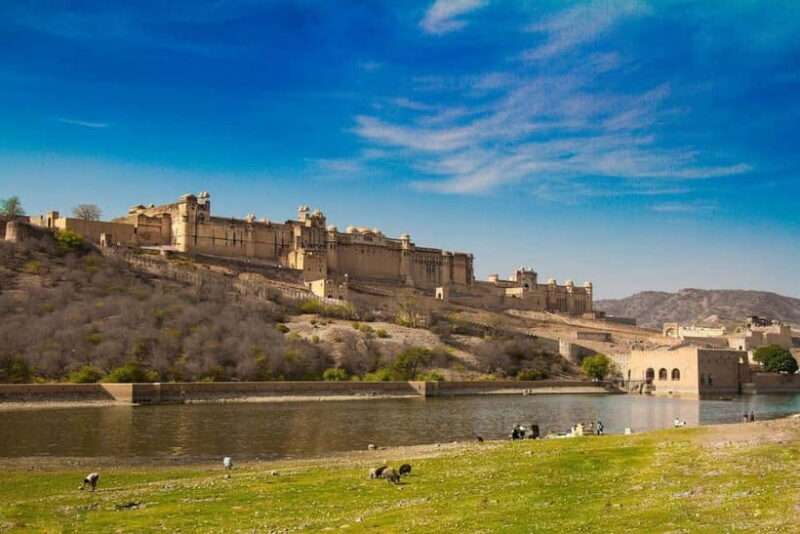 From Delhi: Same Day Guided Jaipur Tour with 5 Star Lunch - Jal Mahal: A Photographic Wonder