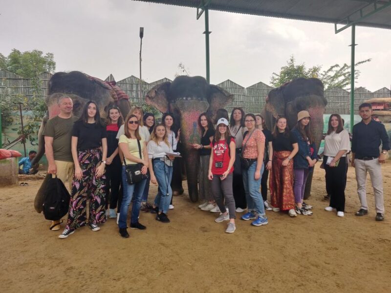 From Delhi : Same Day Jaipur City Guided Tour By Car - A Practical and Comfortable Day Trip