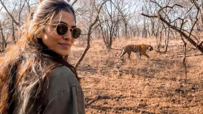 From Delhi: Sariska Wildlife Safari with Private Car - Detailed Breakdown of the Experience