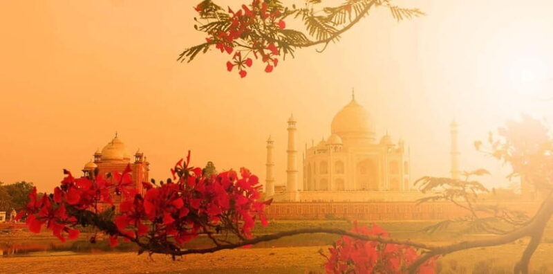 From Delhi: Sunrise Taj Mahal & Full Agra City Amazing Tour - The Itinerary in Detail