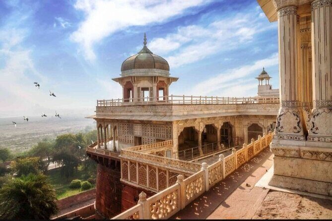 From Delhi: Sunrise Taj Mahal Tour With Elephant Conservation - Who Should Consider This Tour?