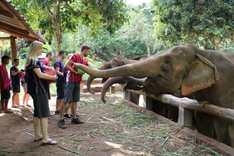 From Delhi: Sunrise Taj Mahal Tour with Elephant SOS Center - Why This Tour Stands Out