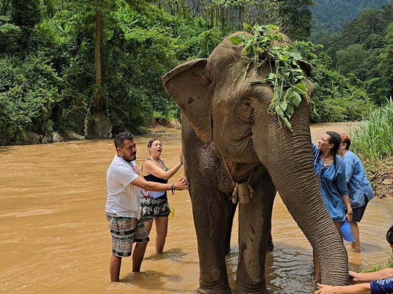 From Delhi: Sunrise Taj Mahal Tour With Elephant SOS - Authentic Insights from Reviews