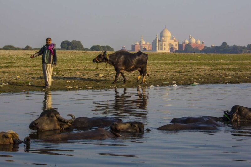 From Delhi: Taj Mahal, Agra Fort Day Tour with Transfers - Key Points