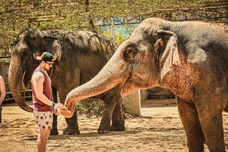 From Delhi: Taj Mahal, Agra Fort & Elephant Sanctuary Tour - Detailed Exploration of the Tour Experience