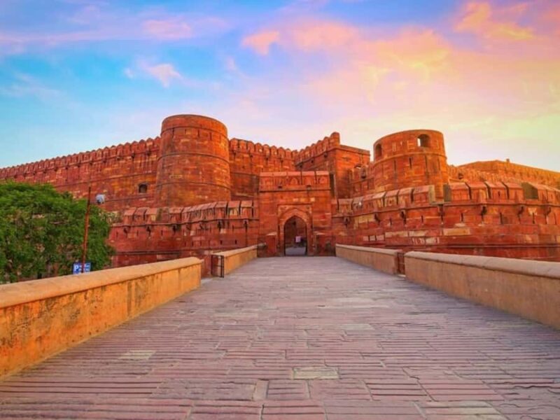 From Delhi: Taj Mahal & Agra Private Day Tour with Transfers - An In-Depth Look at the Tour Experience