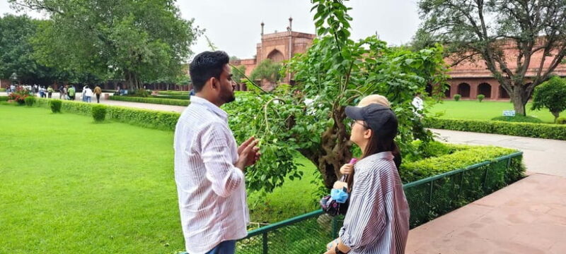 From Delhi: Taj Mahal & Agra Tour by Gatimaan Express Train - Key Points