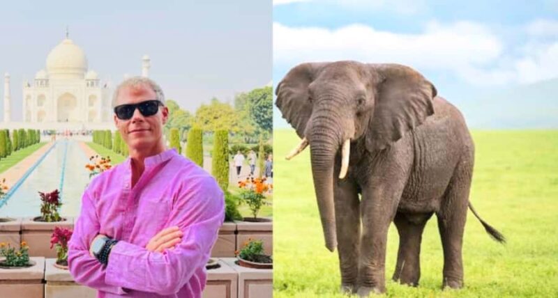 From Delhi: Taj Mahal & Agra Tour With Elephant Conversation - What Reviewers Say