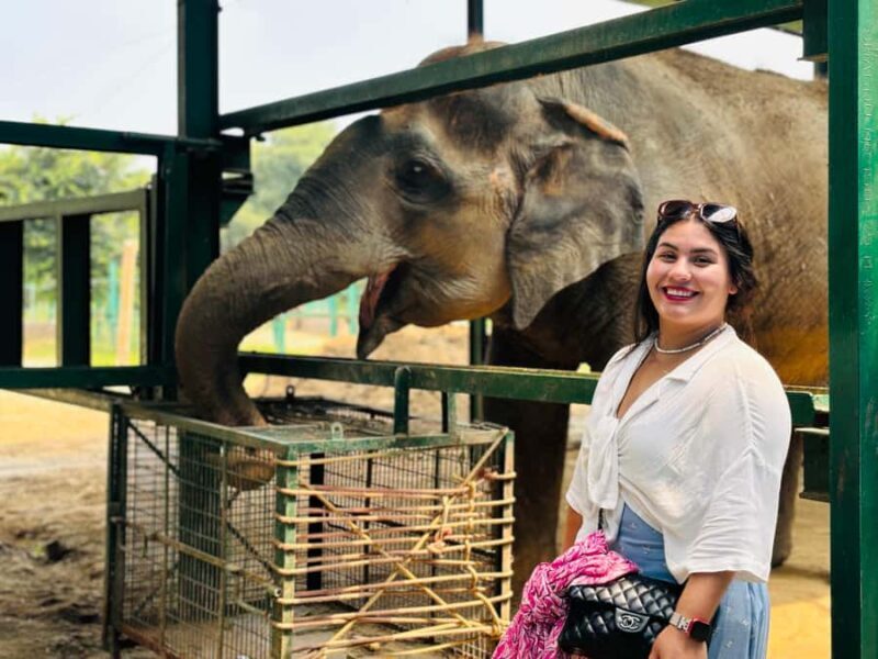 From Delhi: Taj Mahal & Agra Tour With Elephant Conversation - Who Will Love This Tour?