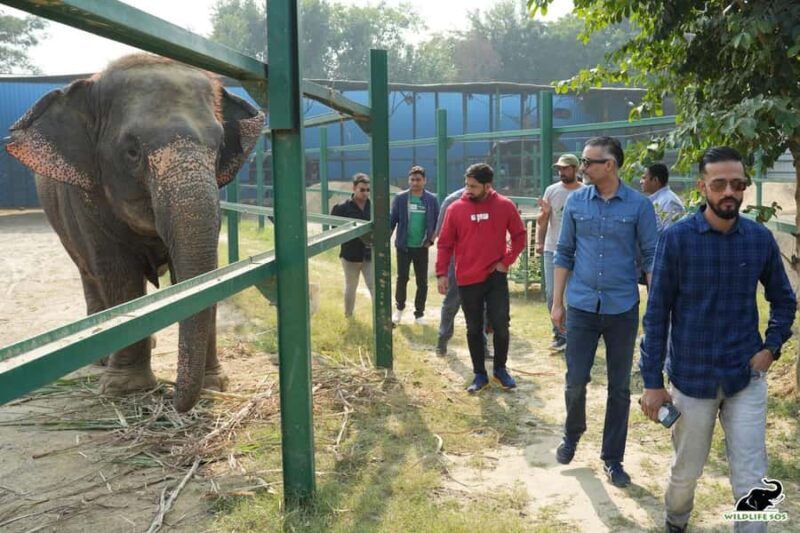 From Delhi: Taj Mahal & Agra Tour with Elephant Wildlife SOS - An In-Depth Look at the Tour Experience