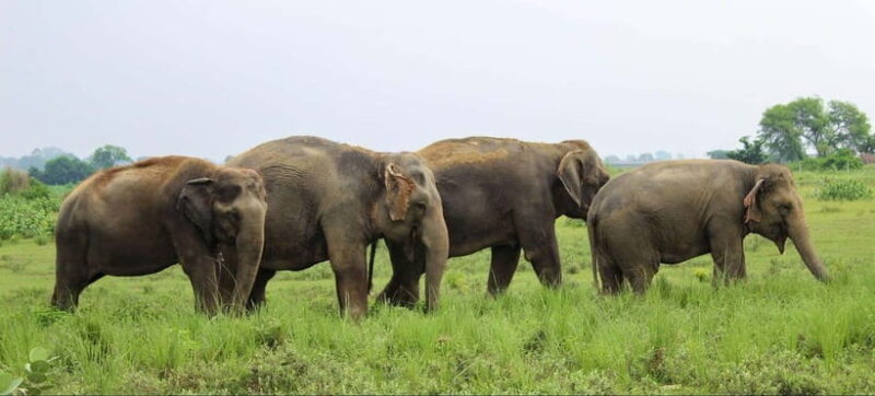 From Delhi: Taj Mahal and Agra Tour by Super-fast Train - Who Should Consider This Tour?