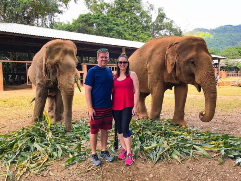 From Delhi: Taj Mahal & Elephant Rescue Centre Day Tour - A Detailed Look at the Experience