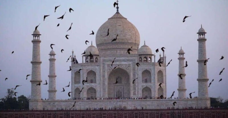 From Delhi: Taj Mahal Sunrise & Agra Day Tour with Transfers - Key Points