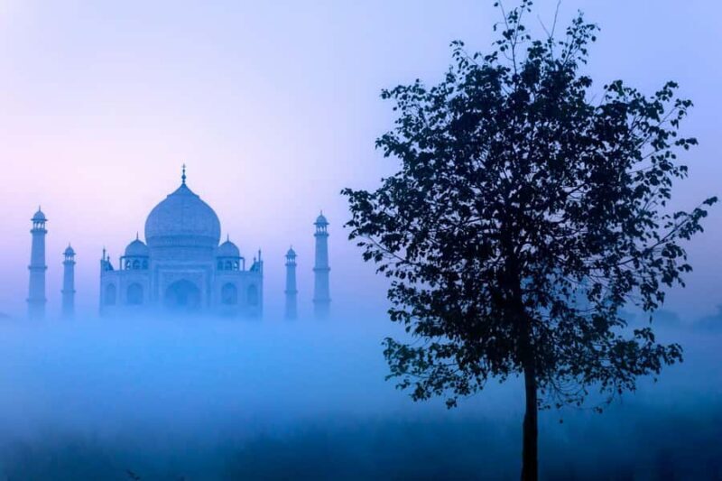From Delhi: Taj Mahal Sunrise, Agra Fort & Baby Taj Day Tour - Who Would Love This Tour?