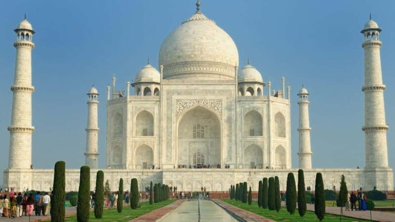 From Delhi: Taj Mahal Sunrise and Elephant Conservation Tour - Pricing and Overall Value