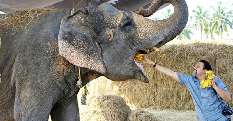 From Delhi: Taj Mahal Sunrise and Elephant Wildlife SOS Tour - What You Can Expect from This Tour