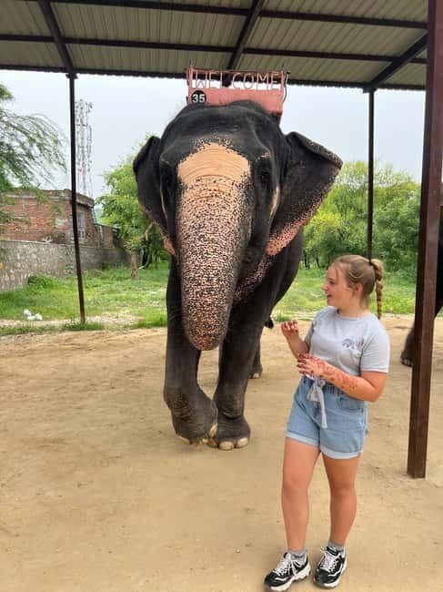 From Delhi: Taj Mahal Sunrise & Elephant Conservation by Car - Who Will Love This Tour?