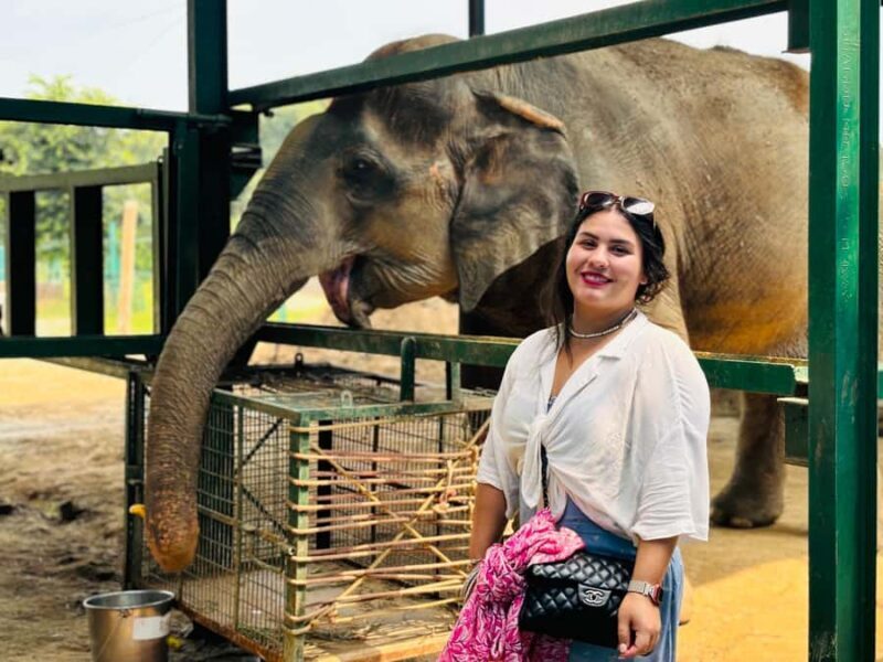 From Delhi: Taj Mahal Sunrise Tour & Elephant Conservation - What Makes This Tour Stand Out?