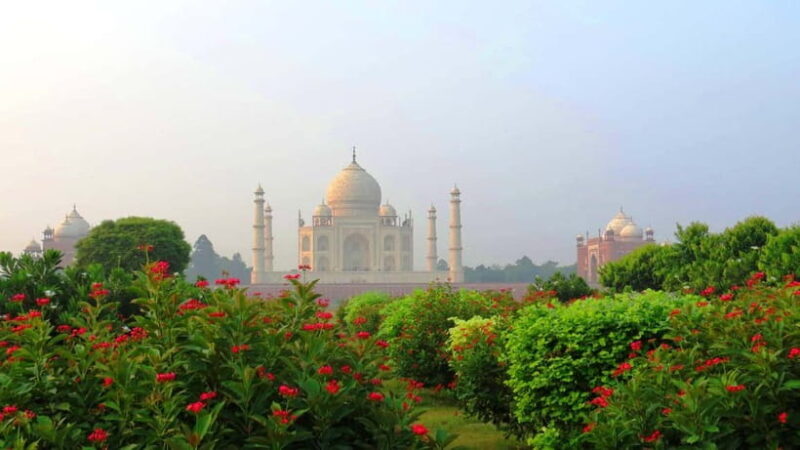 From Delhi Taj Mahal Sunrise Tour - The Full Experience Breakdown