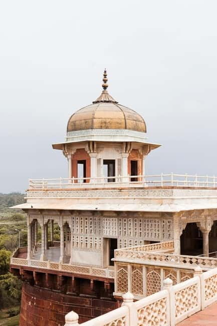 From Delhi: Taj Mahal Sunrise Tour w/ Elephant Conservation - Practical Details and What to Expect