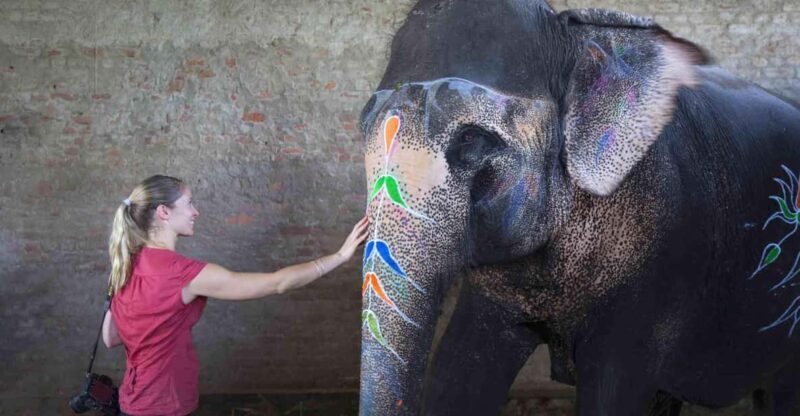 From Delhi: Taj Mahal Sunrise Tour w/ Elephant Conservation - Engaging Introduction