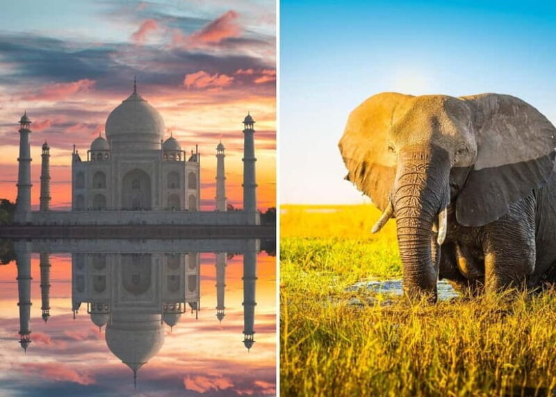 From Delhi: Taj Mahal Sunrise Tour with Elephant SOS Center - Key Points