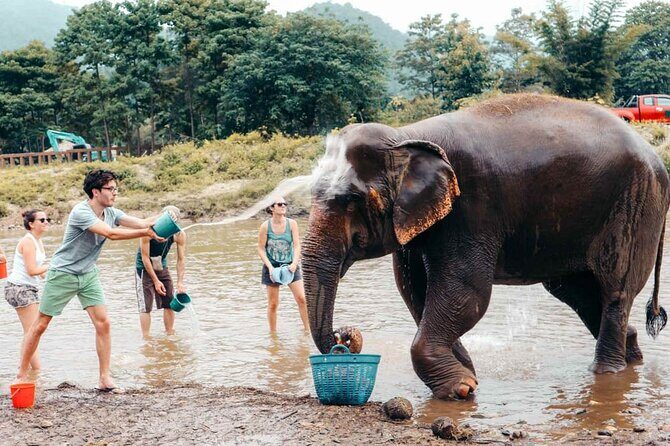 From Delhi: Taj Mahal Sunrise Tour with Elephant SOS Center - An Authentic Day Trip from Delhi