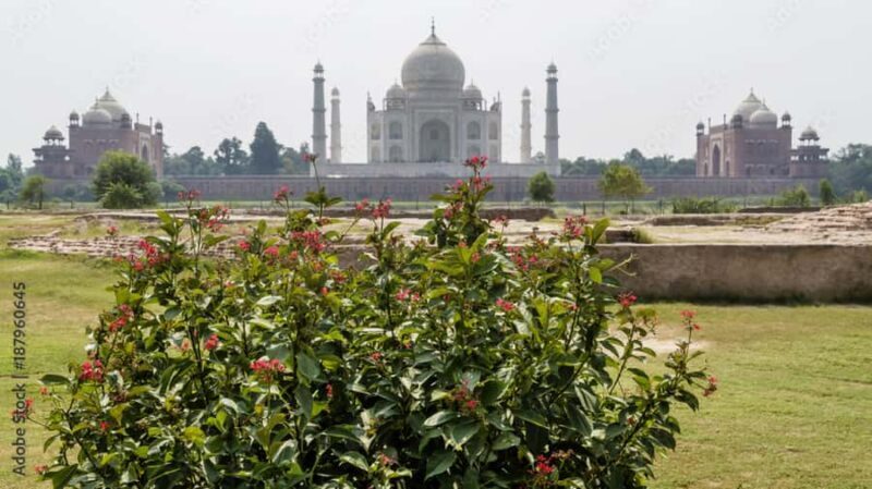 From Delhi : Taj Mahal Sunrise Tour With Lunch at 5* Hotel - Who This Tour Is Perfect For