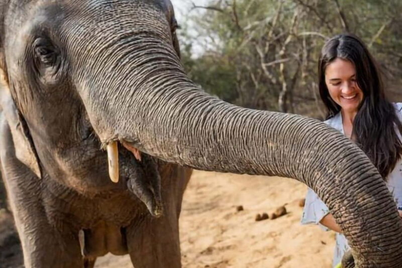 From Delhi: Taj Mahal Tour With Elephant SOS - Key Points