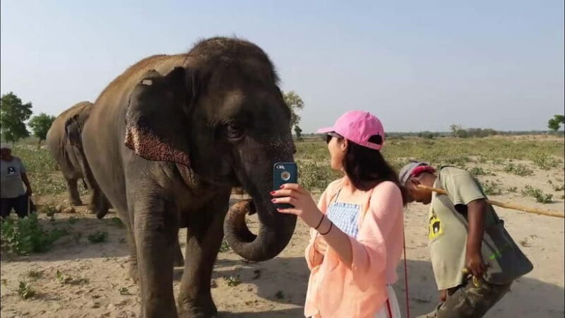 From Delhi: Taj Mahal with Photographer & Elephant SOS Tour - Final Thoughts