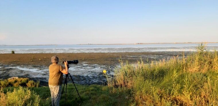 from-deltebre-ebro-delta-national-park-multi-stop-day-trip