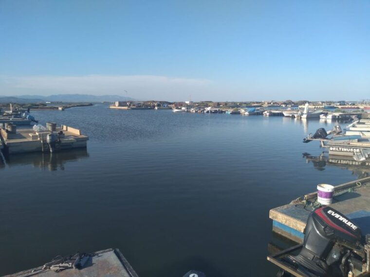 from-deltebre-ebro-delta-national-park-multi-stop-day-trip