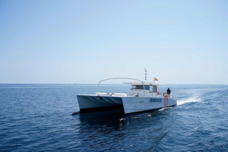 from-denia-boat-trip-to-tallada-cave-with-optional-swim