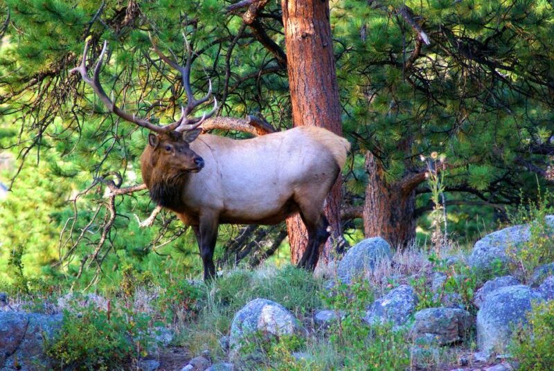 from-denver-hike-the-rockies-tour