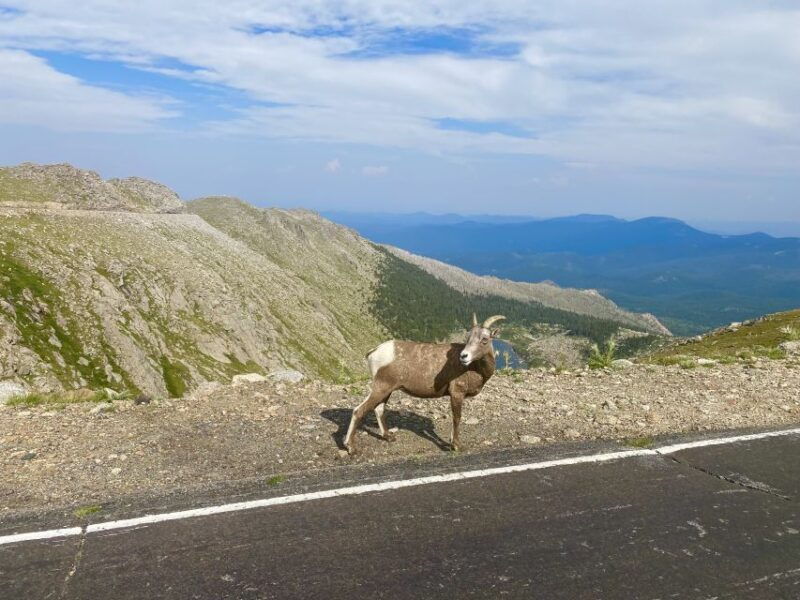 from-denver-pikes-peak-and-garden-of-the-gods-guided-tour