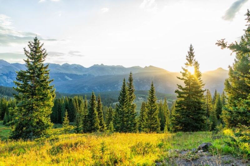 from-denver-red-rocks-and-foothills-half-day-guided-tour