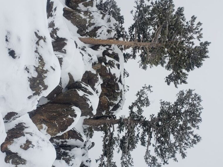 from-denver-rocky-mountain-national-park-winter-spring-tour