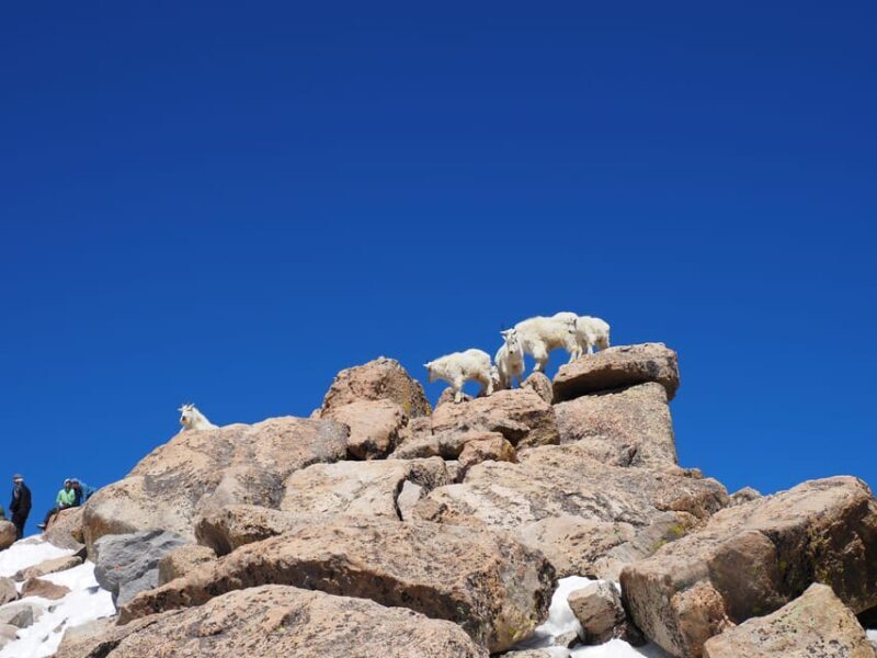 From Denver: Trip to Mount Blue Sky Summit and Glacial Lake - Value & Pricing Analysis