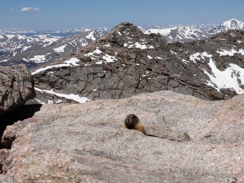 From Denver: Trip to Mount Blue Sky Summit and Glacial Lake - What the Reviews Say