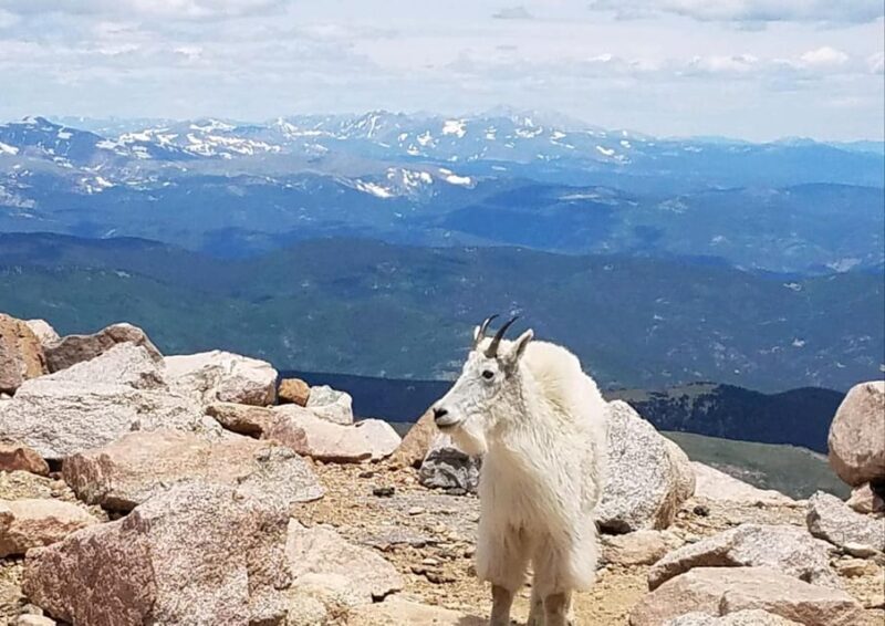 From Denver: Trip to Mount Blue Sky Summit and Glacial Lake - Who Should Consider This Tour?