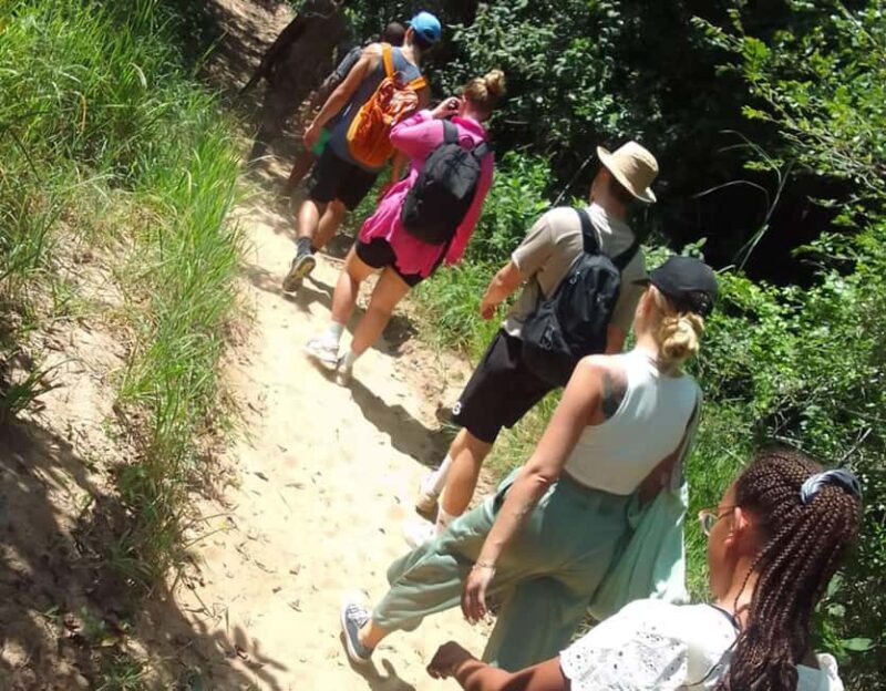 From Diani: Full Day Shimba hills tour with Sheldrick Falls - Exploring the Full Day Shimba Hills Tour with Sheldrick Falls from Diani