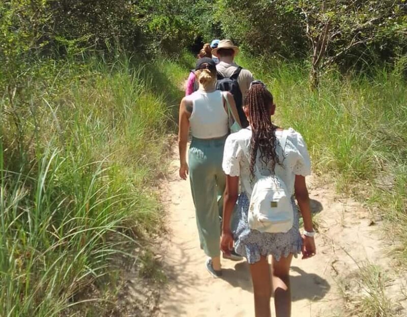 From Diani: Full Day Shimba hills tour with Sheldrick Falls - The Journey Begins: From Diani to Shimba Hills
