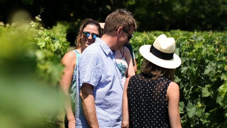 from-dijon-beaune-burgundy-region-winery-tour-with-lunch