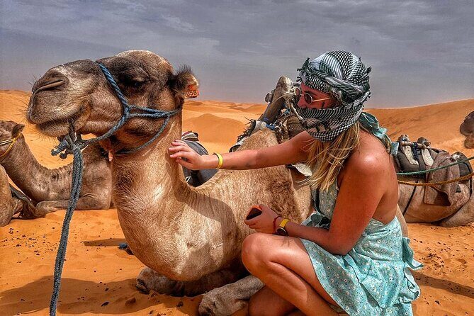 From Djerba: Explore the desert in a day - Key Points