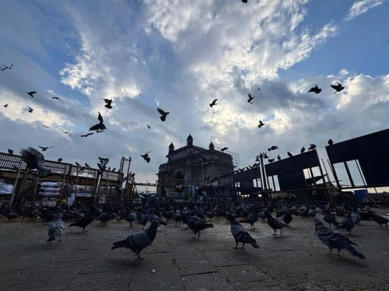 From Docks to Dreams: Mumbai's Iconic Trail - Starting Point: Sassoon Dock at Dawn